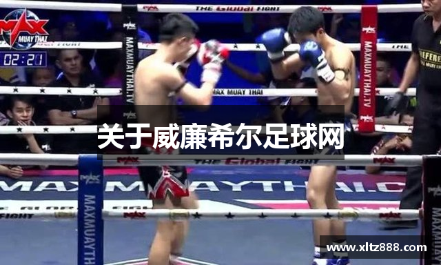 关于威廉希尔足球网